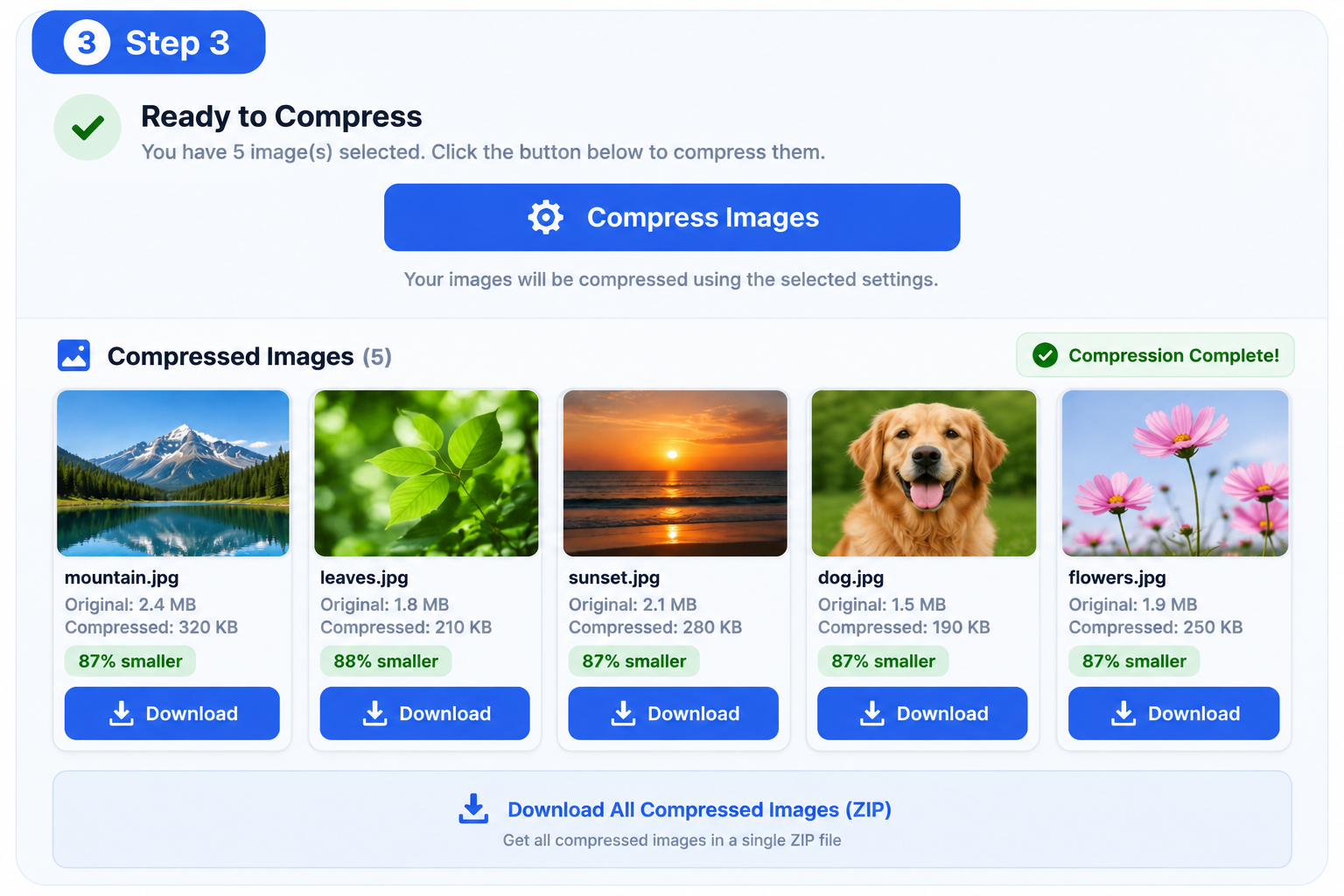Download a compressed JPG image after optimization