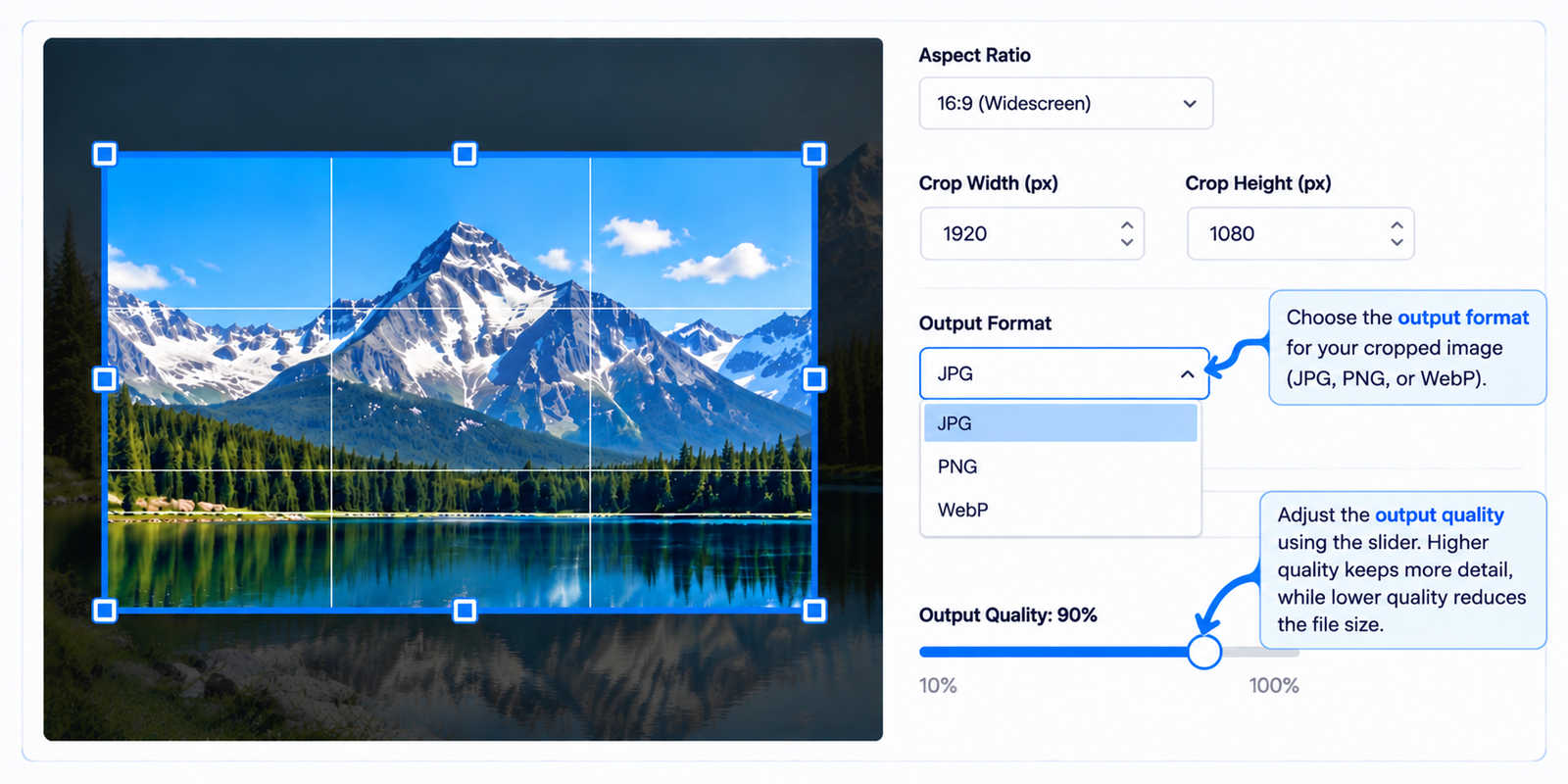 Choose JPG PNG or WebP format and image quality before downloading