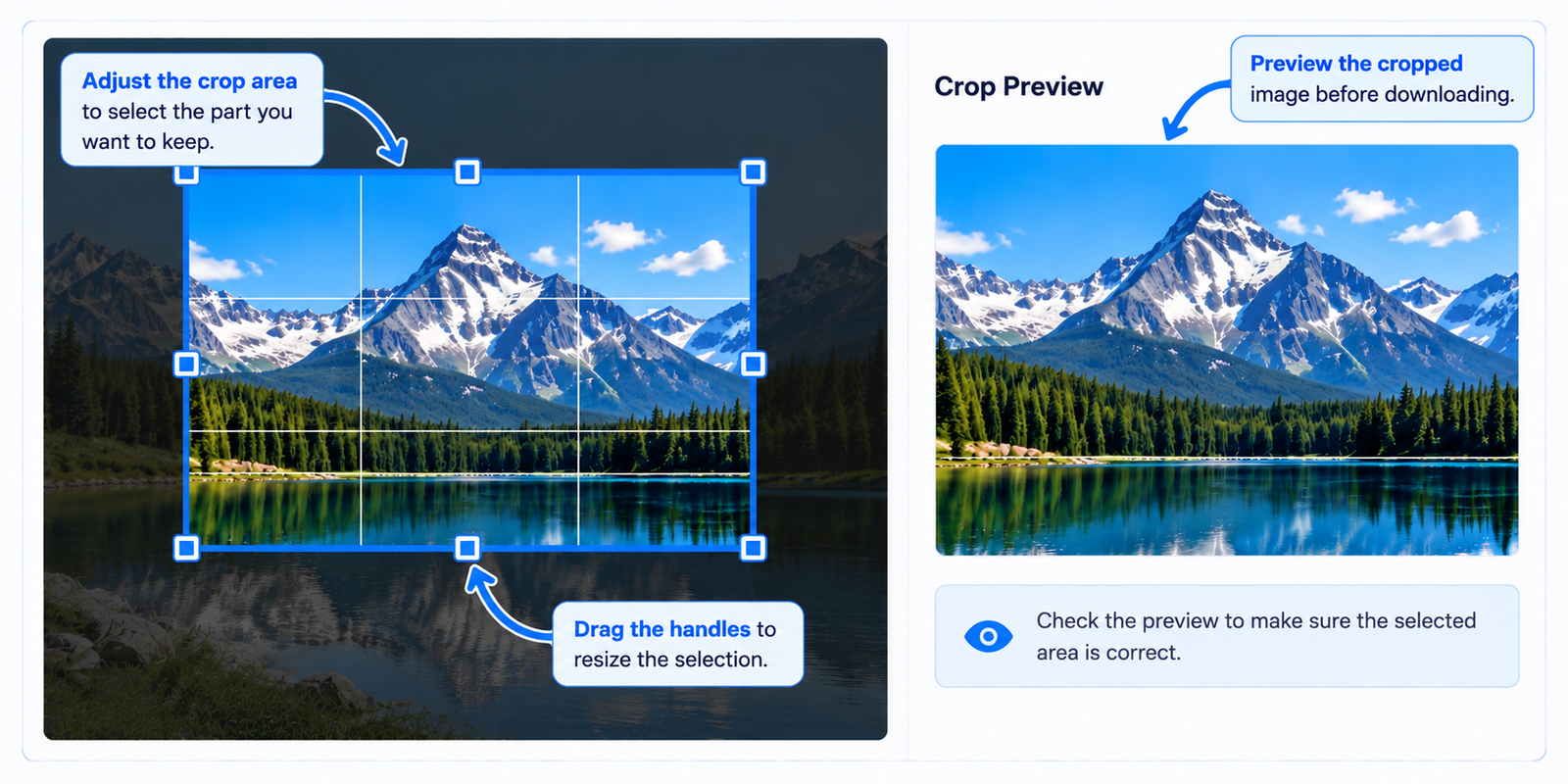 Preview the selected crop area before downloading the image