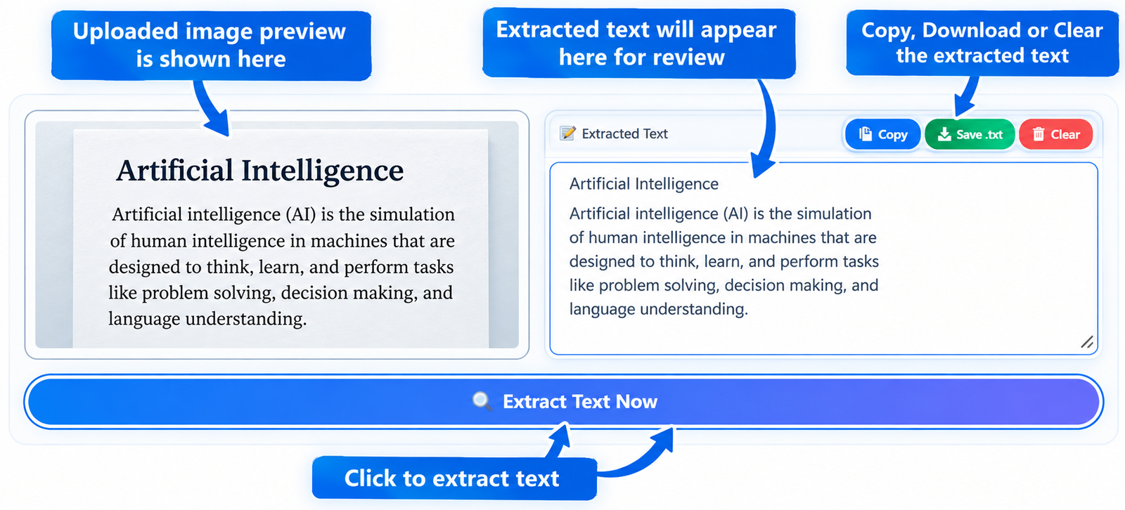 Extract and review text from an image using OCR