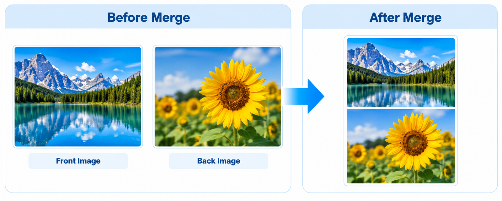 Merge ID Card front and back into one image online