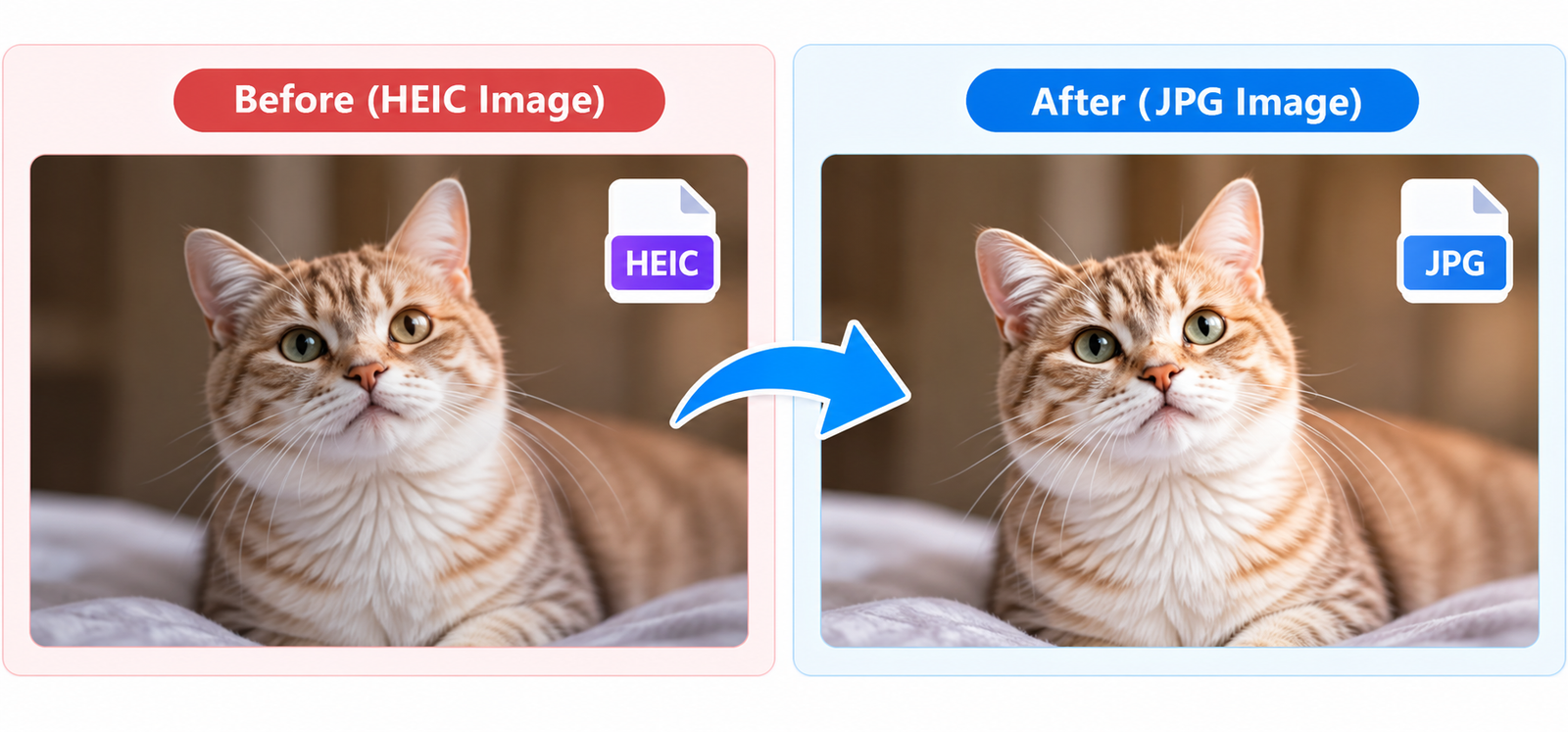 HEIC to JPG converter online