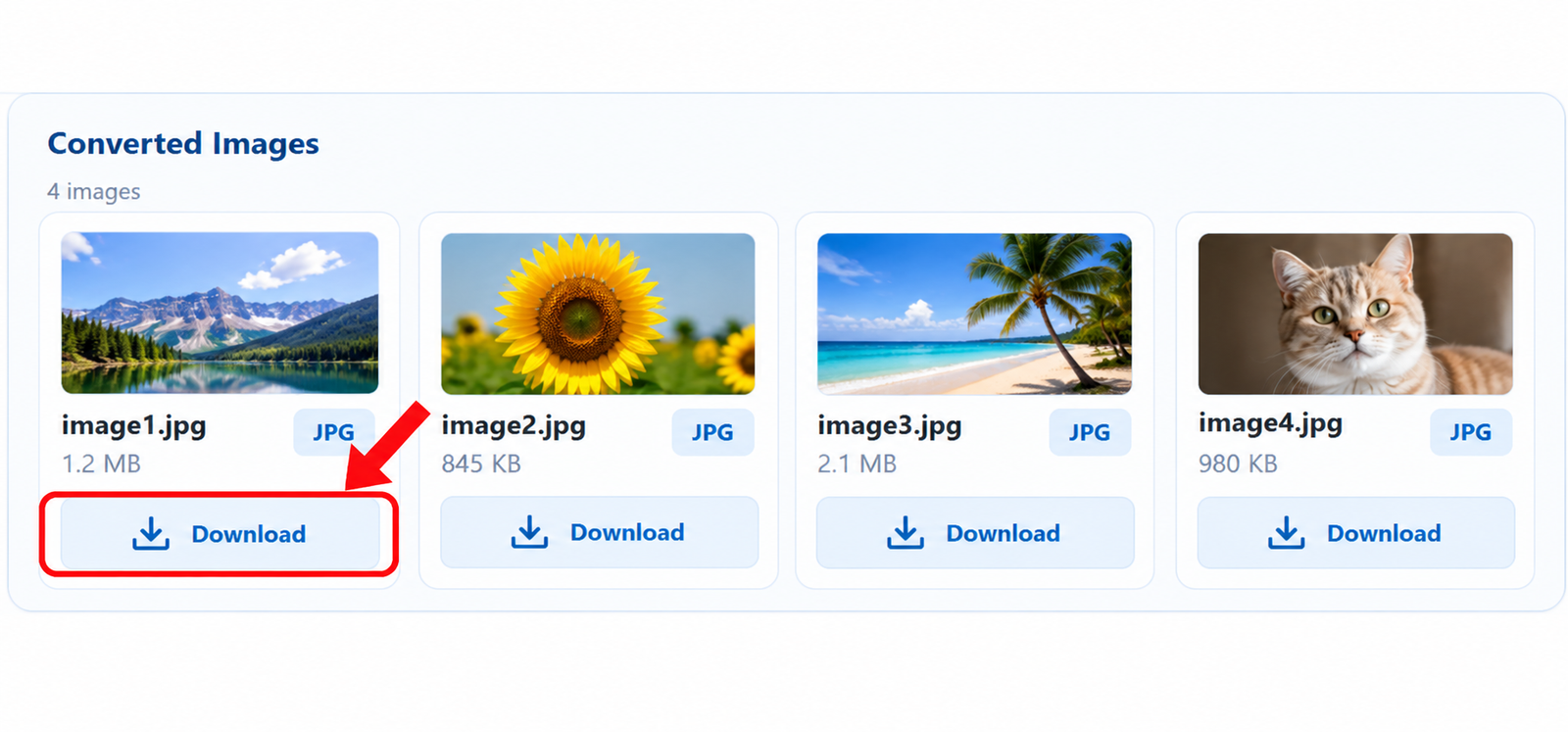 Download converted JPG images after HEIC to JPG conversion