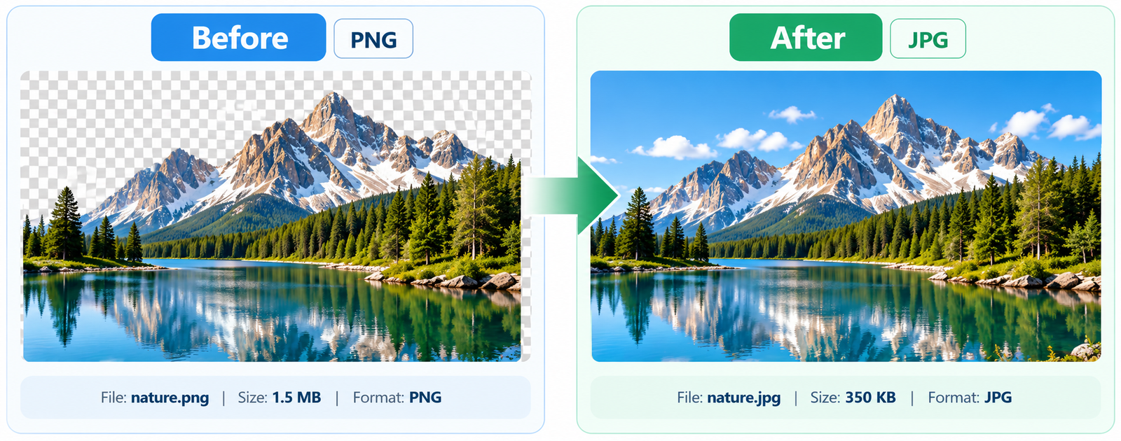PNG vs JPG: Which Format Should You Use?